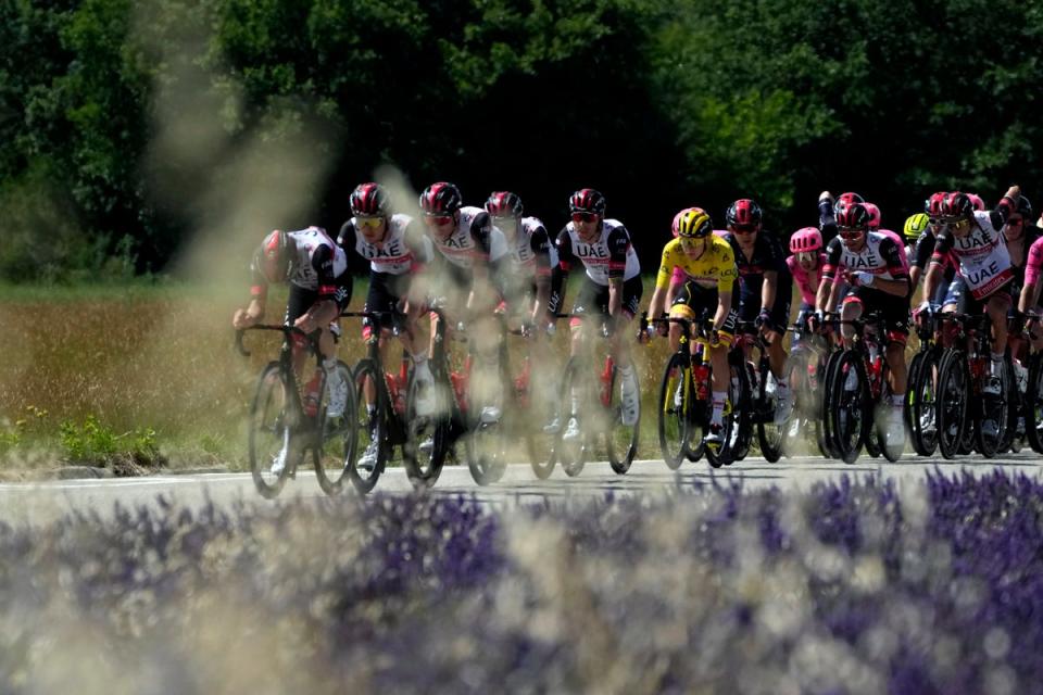 The Tour de France peloton takes to the Danish coastline  (AP)