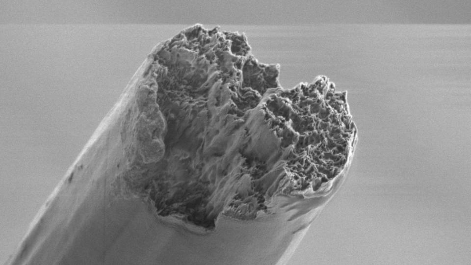 Das ultrastarke Material besteht aus Zellulose-Nanofasern, den Grundbausteinen von Holz und anderen Pflanzen. Foto: Nitesh Mittal/KTH Stockholm