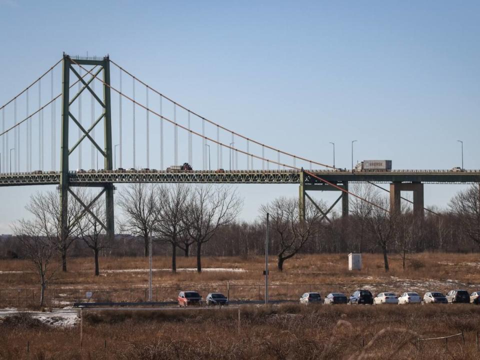 MacKay Bridge as seen from Shannon Park on Jan. 8, 2019. (Robert Short/CBC - image credit)