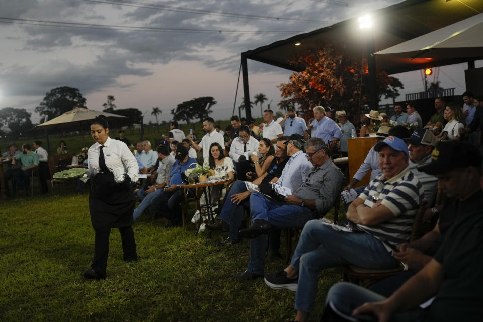 Attendees are served by waiters during the presentation of cows a day before the "Elo de Raça" auction, on the sidelines of the ExpoZebu in Uberaba, Minas Gerais state, Brazil, Saturday, April 27, 2024. The Elo de Raça is the most prestigious auction during the annual ExpoZeb, which bills itself as the world’s biggest Zebu fair. (AP Photo/Silvia Izquierdo)