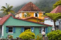 <p>Tropical shades of green and orange blend in with the surroundings on Réunion Island.</p>