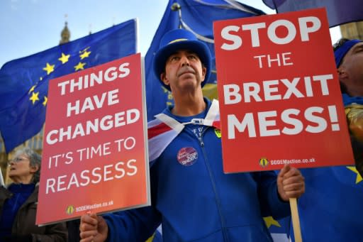 Anti-Brexit demonstrator Steve Bray and his supporters are stepping up their protests ahead of next week's parliament vote on a withdrawal deal