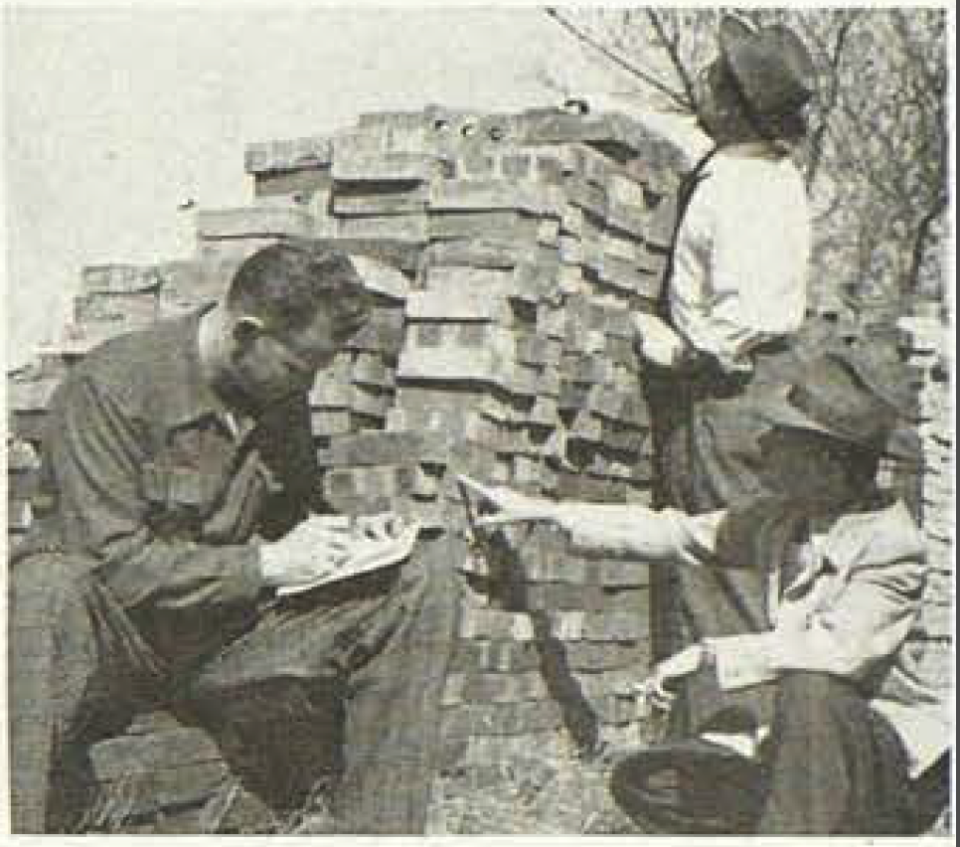 Texas Tech students tally up some of the 230,000 bricks donated or purchased to complete the West Texas Museum building.  These bricks were used in the interior walls, covered over by the exterior finish bricks.