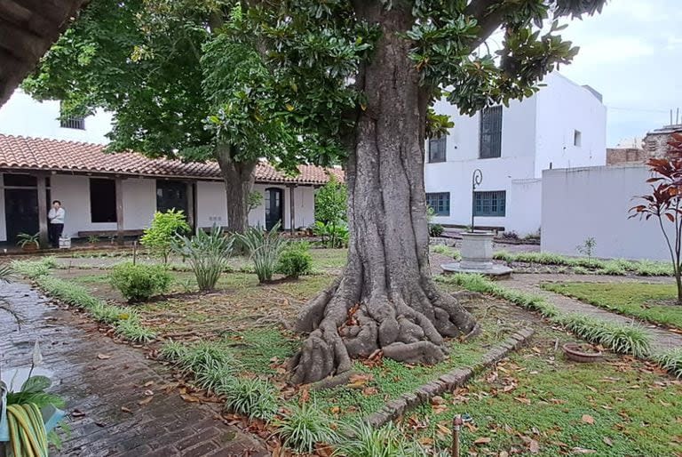 Un patio interno de la casa