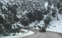 Snow is not something you associate with Morocco but there it was in the (ski resort) town of Ifrane.