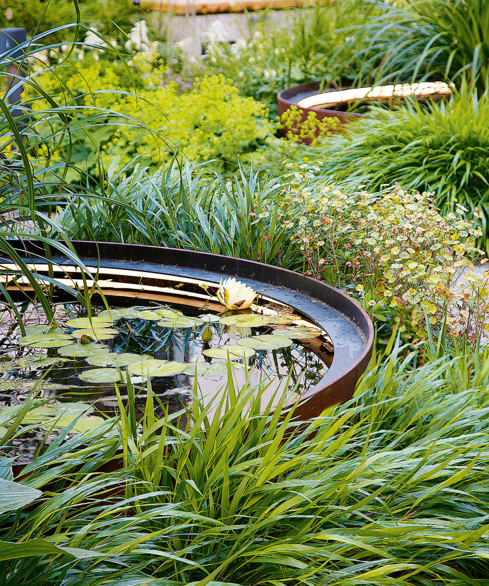 <p> One way to bring the illusion of light to a shady garden is to include garden ponds. The water will reflect the skies and attract wildlife too. In a similar way, mirrors fixed to a fence or a shed will add a bright sparkle &#x2013; but don&#x2019;t set mirrors anywhere that a bird might fly into them. &#xA0; </p>
