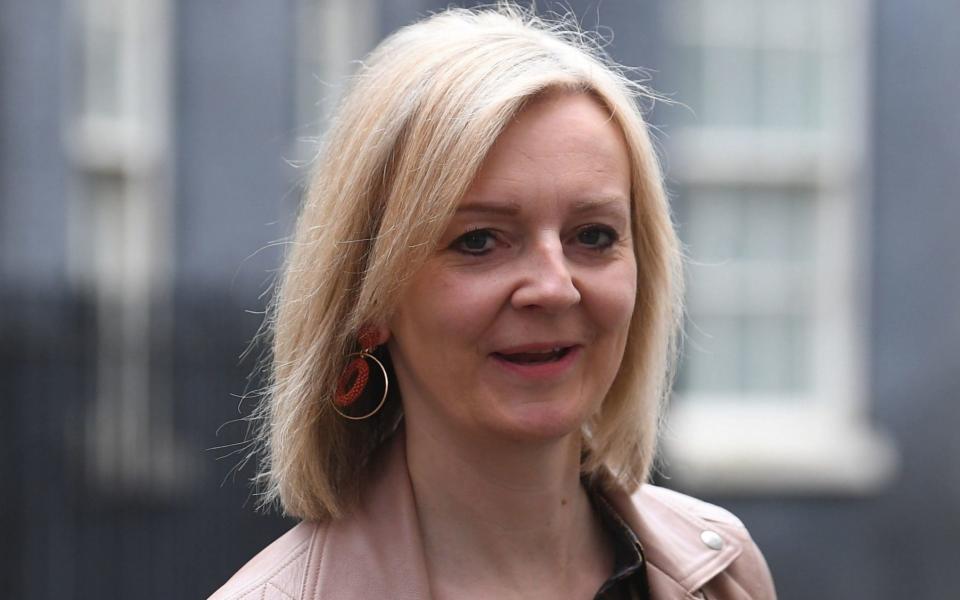 Liz Truss had backed an alternative proposal to reduce tariffs to zero over 10 years - Victoria Jones/PA