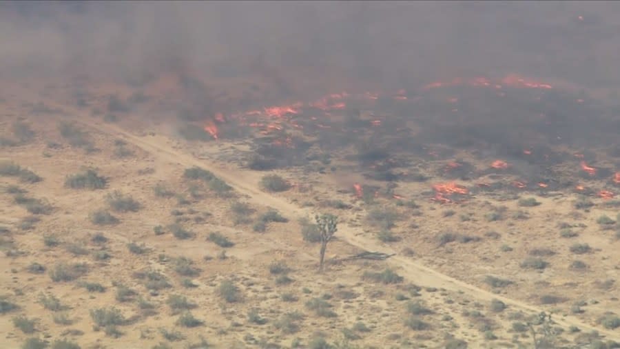 Fire crews battling large brushfire near Los Angeles-San Bernardino county line