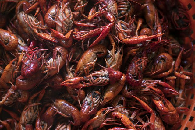 <p>sandoclr / Getty Images</p> Experts warn that the devastation to the crawfish population this year will mean the knock-off effect of a smaller supply next year.
