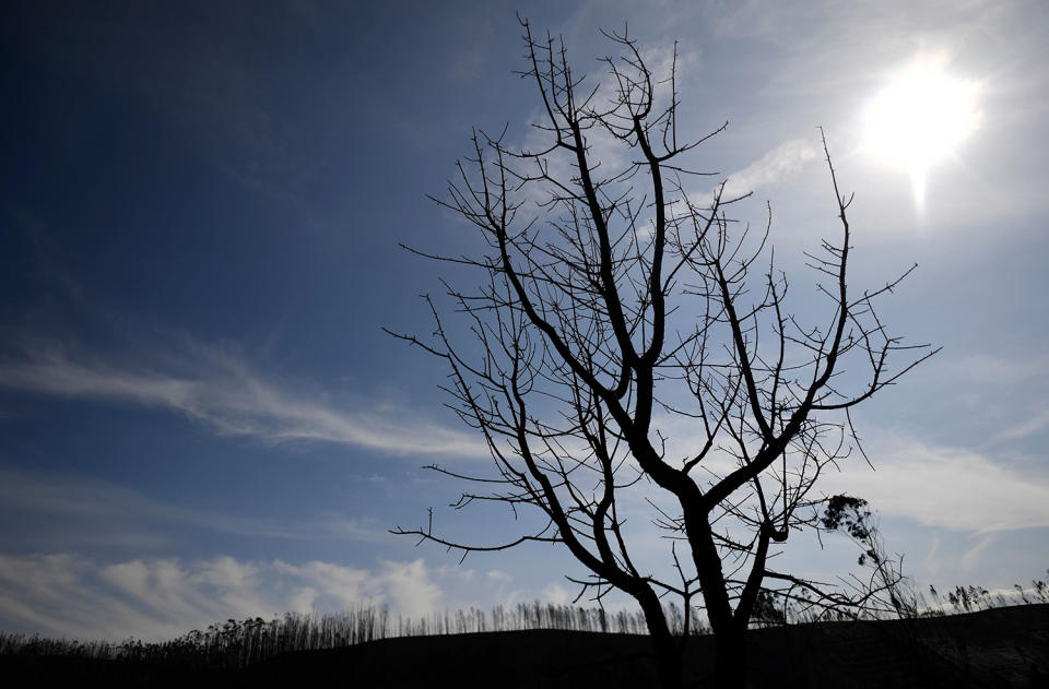 Wildfires burn out of control in Portugal and Spain