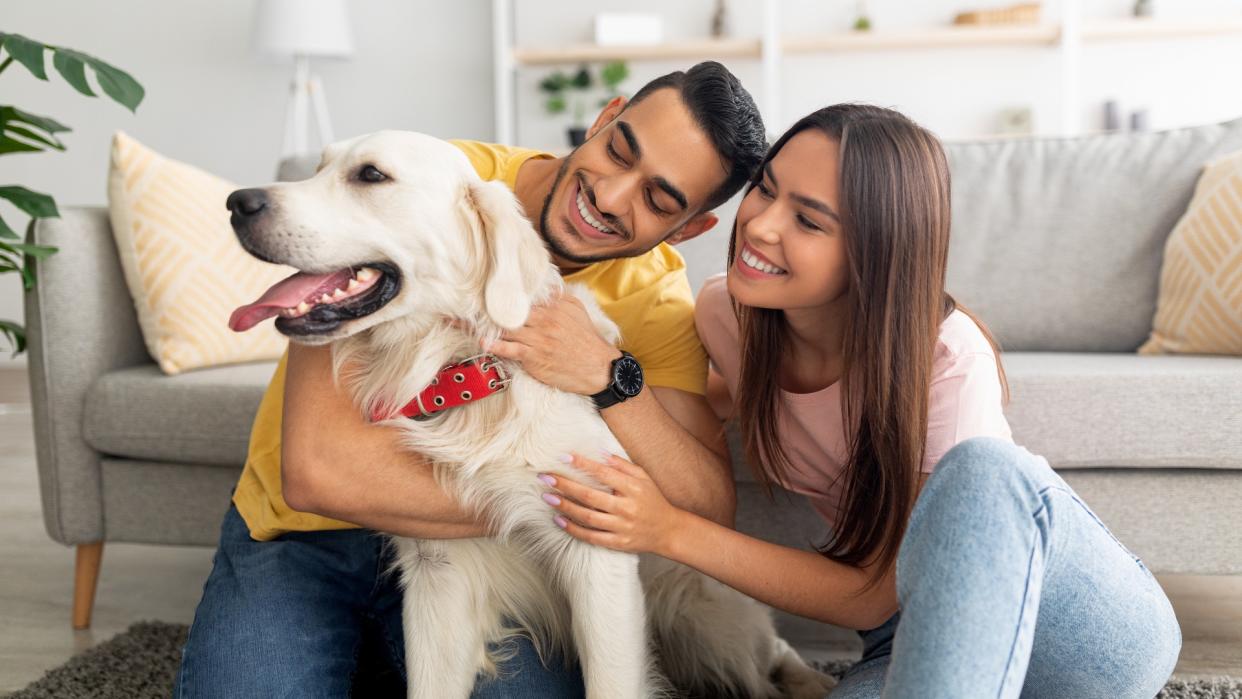  Couple enjoying time with their dog at home 