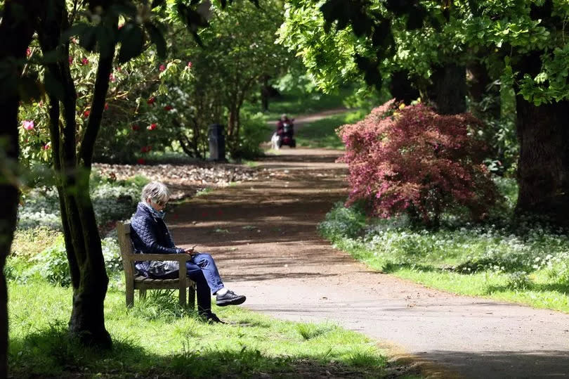 A woman relaxes on a bench enjoying the views at Clyne Gardens