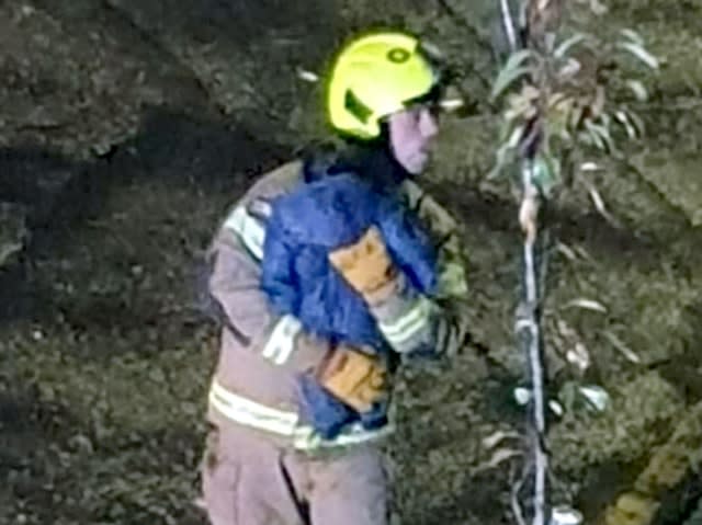 Suspected gas explosion in Ealing