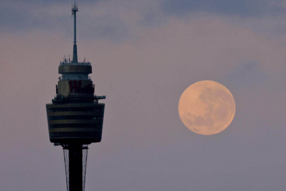 The moon sets behind the Sydney Tower. 