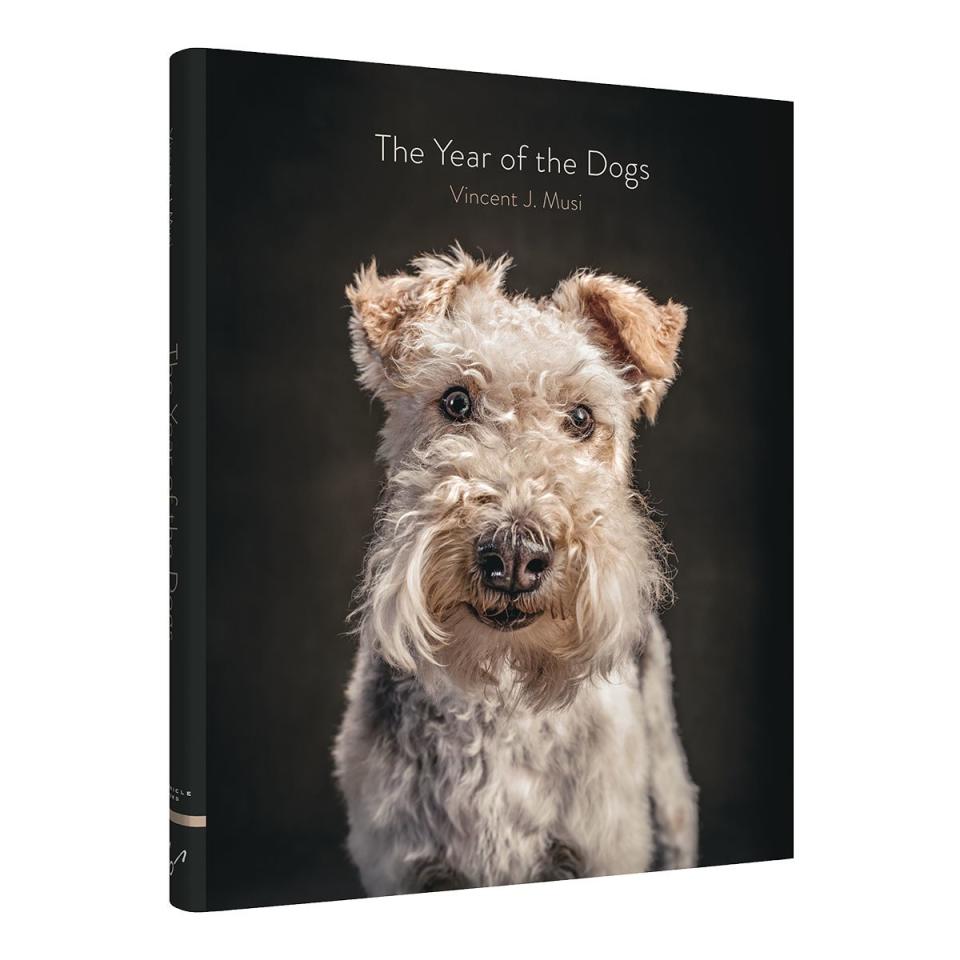 The Year of the Dogs