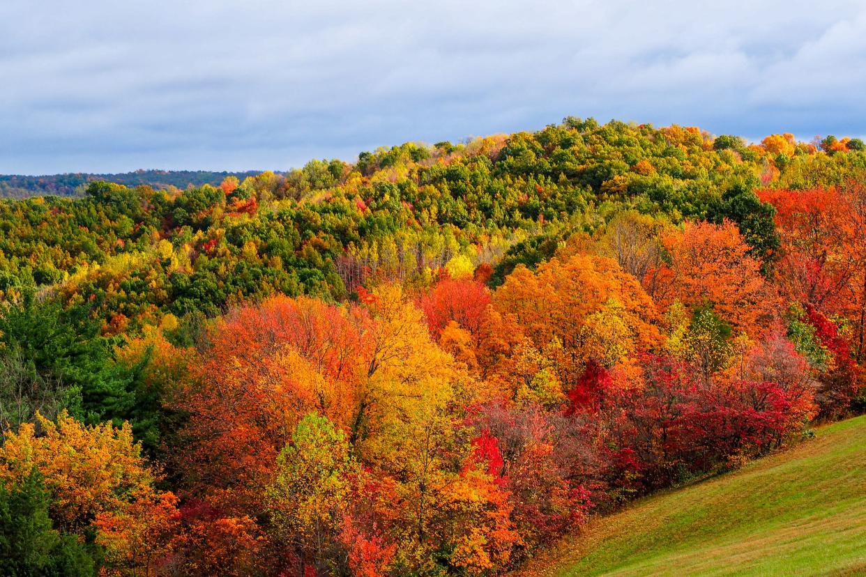 Colors of autumn shown in the hills of Hocking Hills Ohio.