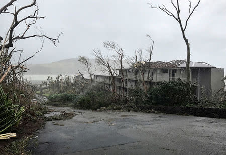 Damaged trees and buildings can be seen after Cyclone Debbie hit the resort on Hamilton Island, located off the east coast of Queensland in Australia March 29, 2017. Jon Clements/Handout via REUTERS