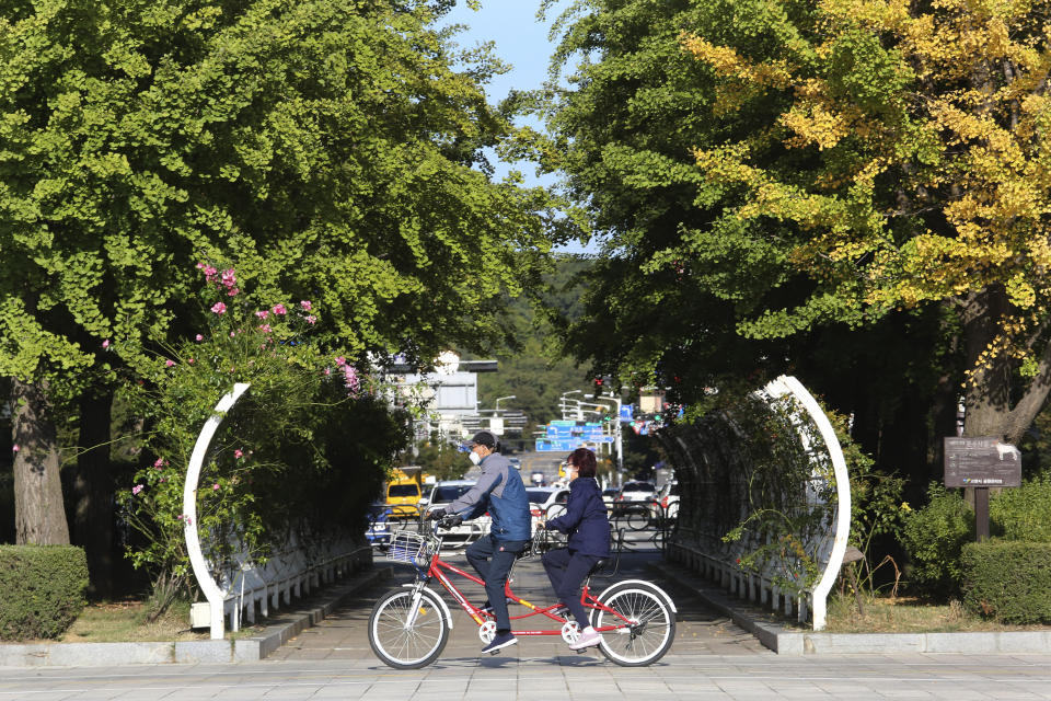 A couple wearing face masks to help protect against the spread of the coronavirus rides a bicycle at a park in Goyang, South Korea, Tuesday, Oct. 6, 2020. (AP Photo/Ahn Young-joon)