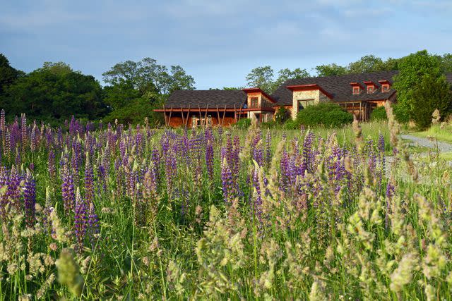 <p>BUTCH LOMBARDI/COURTESY OF AUDUBON SOCIETY OF RHODE ISLAND</p> The Audubon Nature Center & Aquarium, in Bristol, Rhode Island.