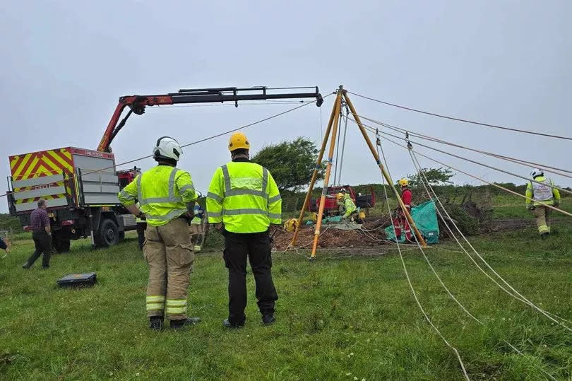 Firefighters rescue a cow from a mine after it fell 20 metres