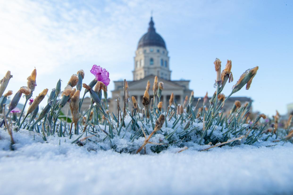 A flowerbed in front of the Kansas Statehouse gets a blanket of snow Tuesday morning after the area saw overnight accumulation.