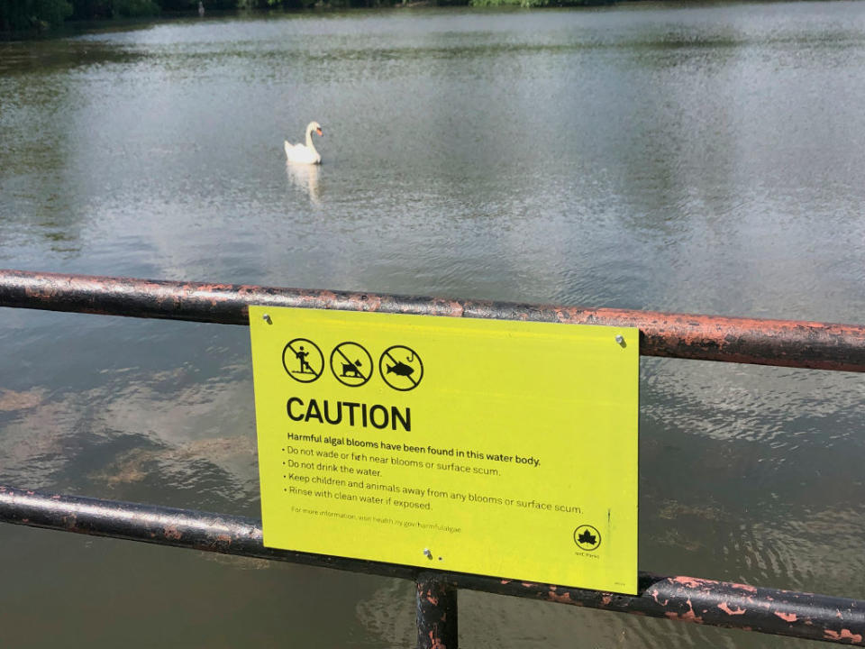 caution sign over water