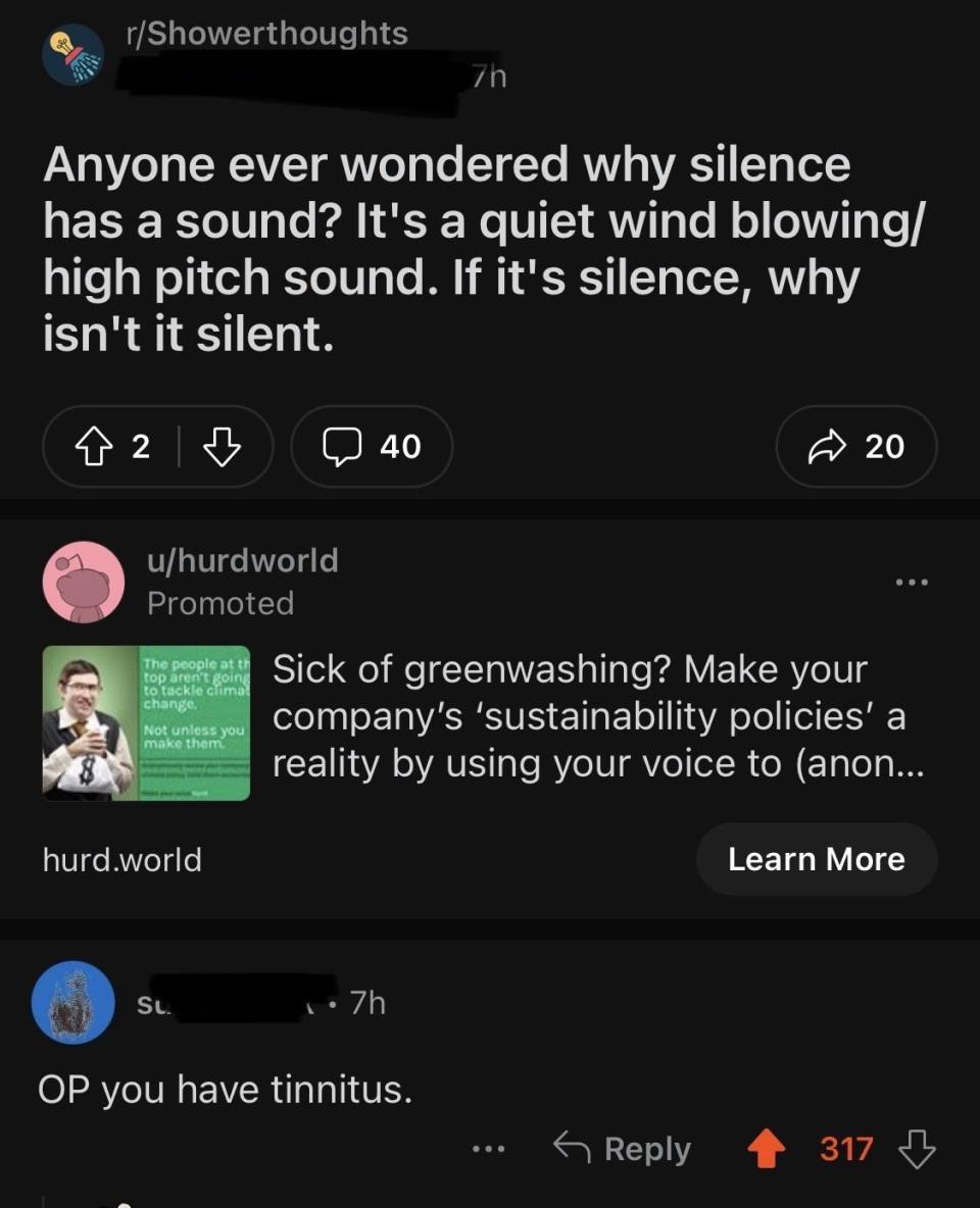 Social media message: "Anyone ever wonder why silence has a sound? It's a quiet wind blowing/high-pitch sound"; response: "OP you have tinnitus"
