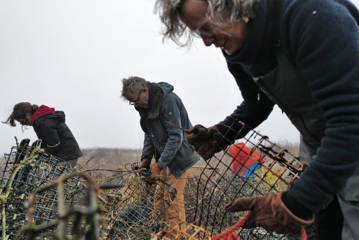 Abandoned lobster traps litter Cuttyhunk Island. Many helped clean it up.