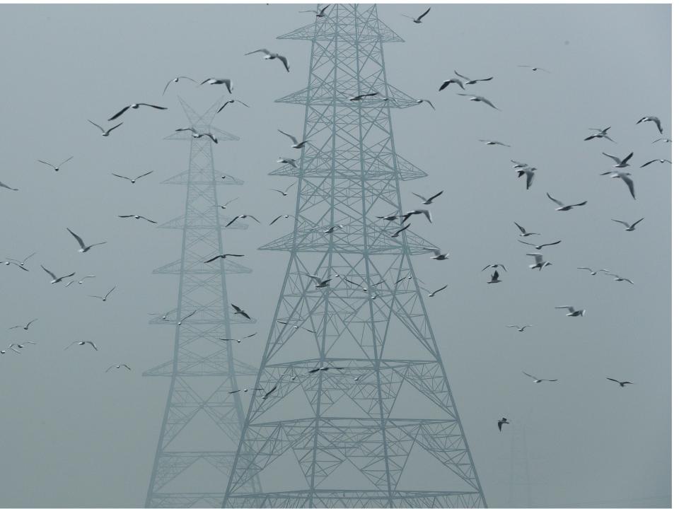 Pollution coronavirus A combination picture shows birds flying next to electricity pylons on October 30, 2019 and after air pollution level started to drop during a 21-day nationwide lockdown to slow the spreading of coronavirus disease (COVID-19), in the old quarters of Delhi, India, April 13, 2020.