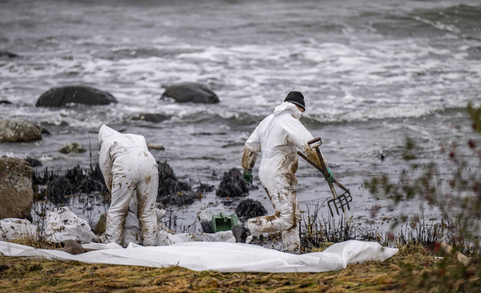 Personnel from the Coast Guard work on cleanup after the oil leak from the grounded ferry Marco Polo on the coast of Horvik, southern Sweden on Oct. 26, 2023. The Swedish Coast Guard says a ferry boat that ran aground twice off the southeastern coast of Sweden is leaking oil and has suffered “extensive damage.” The Marco Polo ferry, which was running between two Swedish ports on the Baltic Sea, touched ground on Oct. 22. (Johan Nilsson/TT News Agency via AP)