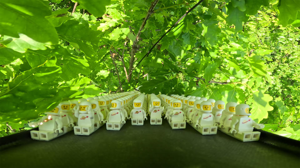 The Lego astronauts had to be retrieved from a tree.