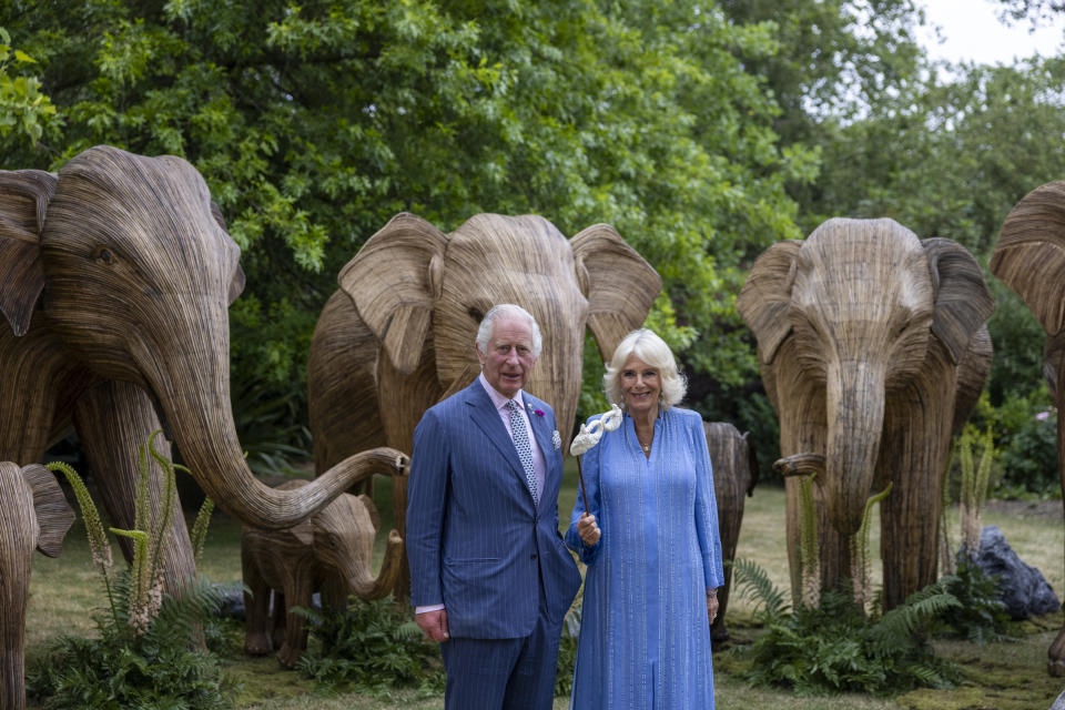 König Charles III und Königin Camilla vor hölzernen Elefanten beim Animal Ball im Lancaster House (Bild: Heathcliff O'Malley - WPA Pool/Getty Images)