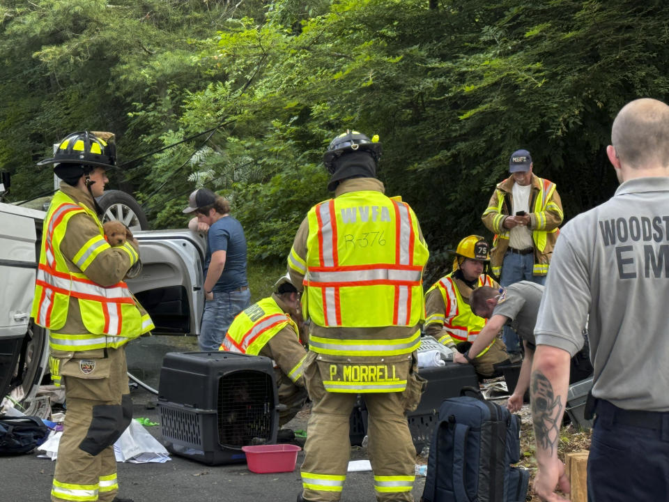 In this photo provided by Woodstock Volunteer Fire Association, a minivan carrying more than a dozen puppies hit a utility pole and rolled over in Woodstock, Conn., Thursday morning, June 20, 2024, injuring several dogs, authorities said. The driver was not seriously hurt, but several dogs were brought to a veterinarian center in nearby Massachusetts to be examined. (Josh Bottone/Woodstock Volunteer Fire Association via AP)