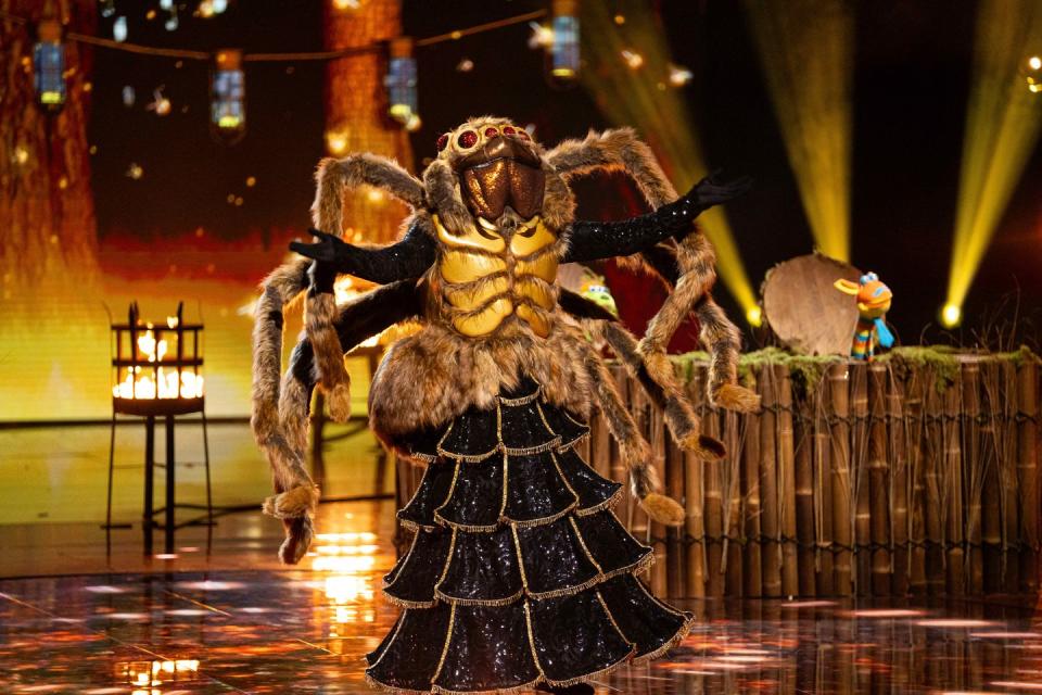 masked singer i'm a celebrity huntsman spider