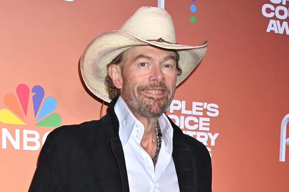 <p>Tammie Arroyo/Variety via Getty </p> Toby Keith.