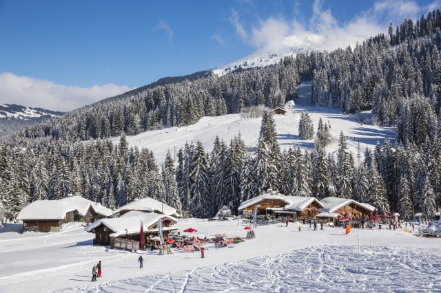 France, Haute Savoie, Morzine, the valley of Aulps, ski slopes of the Portes du Soleil, Chablais, the hamlet of the Grand Pre