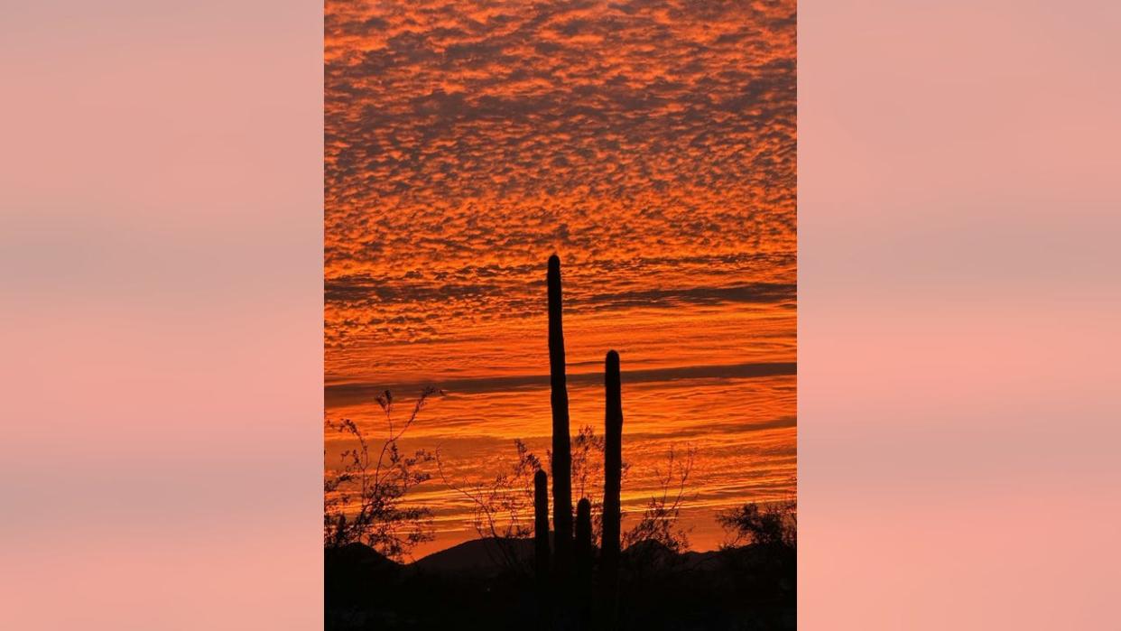 <div>Eclipse or not, this is always a great view to end the day with! Thanks Page Ballard for sharing this amazing view from New River!</div>