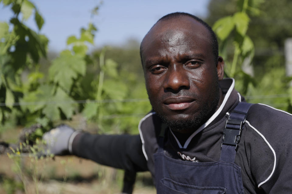 Samadou Yabati, 34 years-old, of Togo, poses for a picture at the Nardi vineyard in Casal del Bosco, Italy, Friday, May 28, 2021. It is a long way, and a risky one. But for this group of migrants at least it was worth the effort. They come from Ghana, Togo, Sierra Leone, Pakistan, Guinea Bissau, among other countries. They all crossed the Sahara desert, then from Libya the perilous Mediterranean Sea until they reached Italian shores, now they find hope working in the vineyards of Tuscany to make the renown Brunello wine. (AP Photo/Gregorio Borgia)