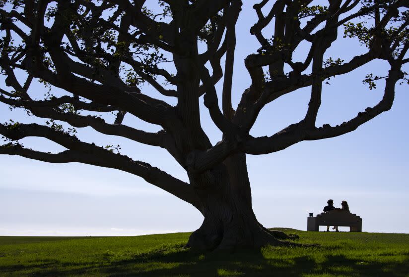 MALIBU, CA - October 16, 2022 - A couple enjoy balmy weather along with an ocean view from a bench on the lawn at Alumni Park at Pepperdine University in Sunday, Oct. 16, 2022 in Malibu, CA. (Brian van der Brug / Los Angeles Times)