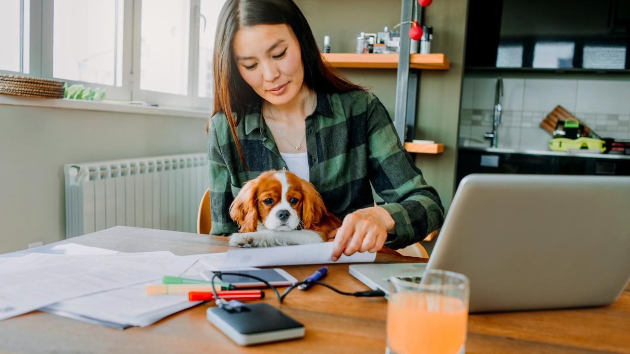 young woman working on her computer at home.