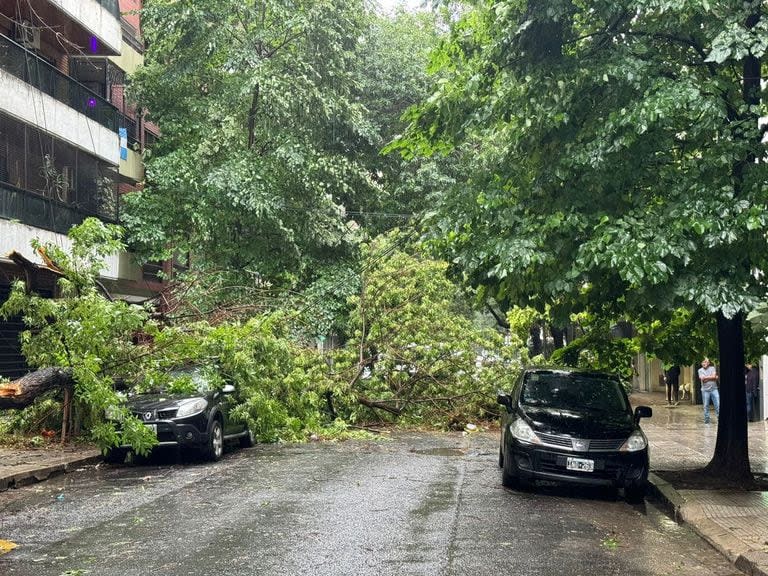 Destrozos por la tormenta en la zona de Las Cañitas, en Palermo