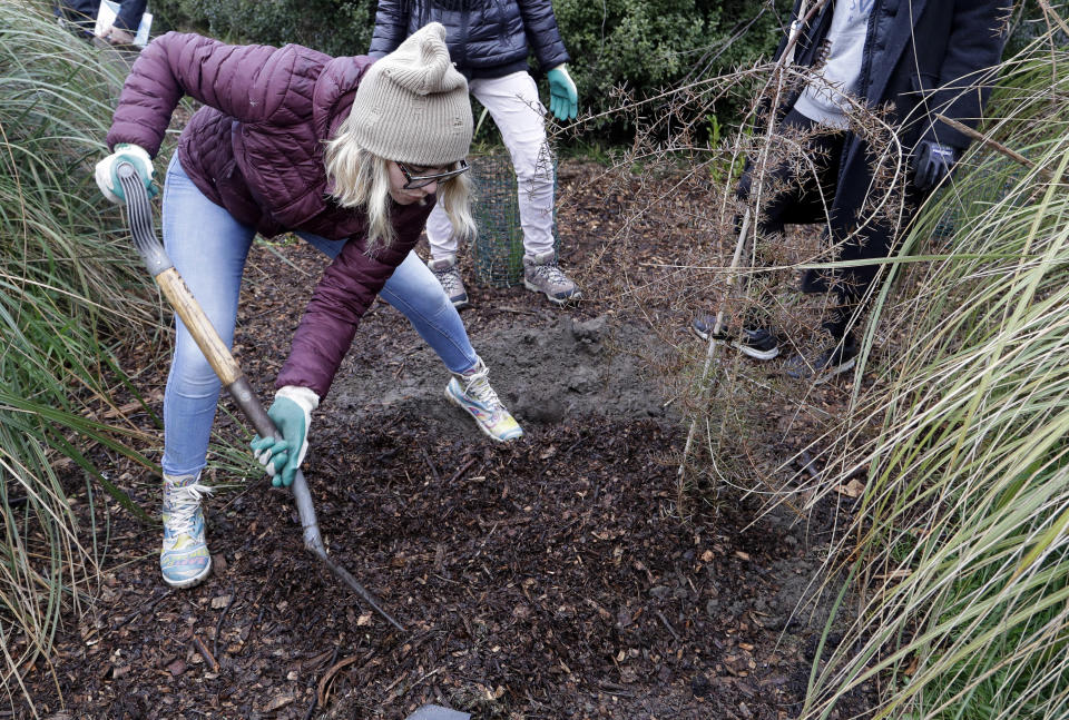 Student Delany Tarr from the Marjory Stoneman Douglas High School in Parkland, Florida, completes the planting of a tree at Halswell Quarry Park Conservation Area on the outskirts of Christchurch, New Zealand, Tuesday, July 24, 2018. The 28 students who survived the Feb. 14, 2018, mass-shooting at the Florida school are visiting New Zealand to learn more about sustaining youth movements. After planting the native totara trees on Tuesday, they recounted memories of their former classmates and teachers in a ceremony that brought many to tears. (AP Photo/Mark Baker)