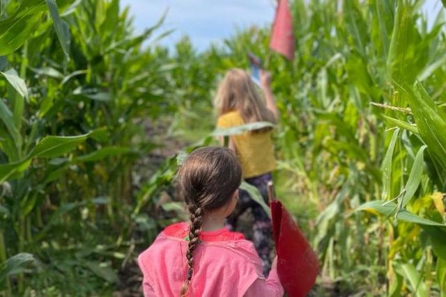 New giant Maize Maze family attraction now open at Blackpool s