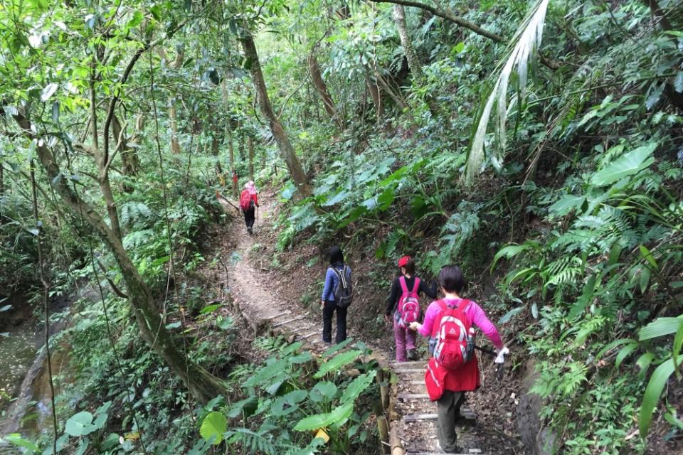 嶺腳寮山登步道位於平溪，坐擁豐富的自然林相。