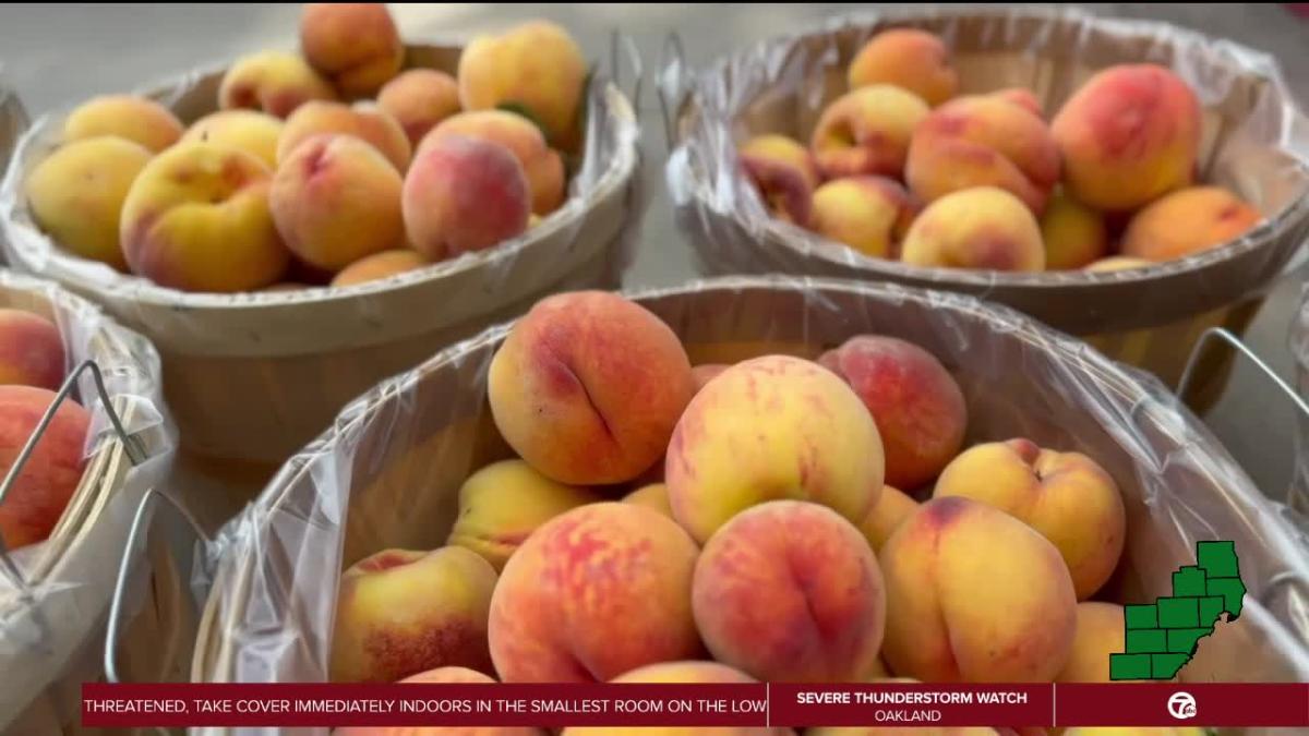 Romeo Peach Festival underway for Labor Day