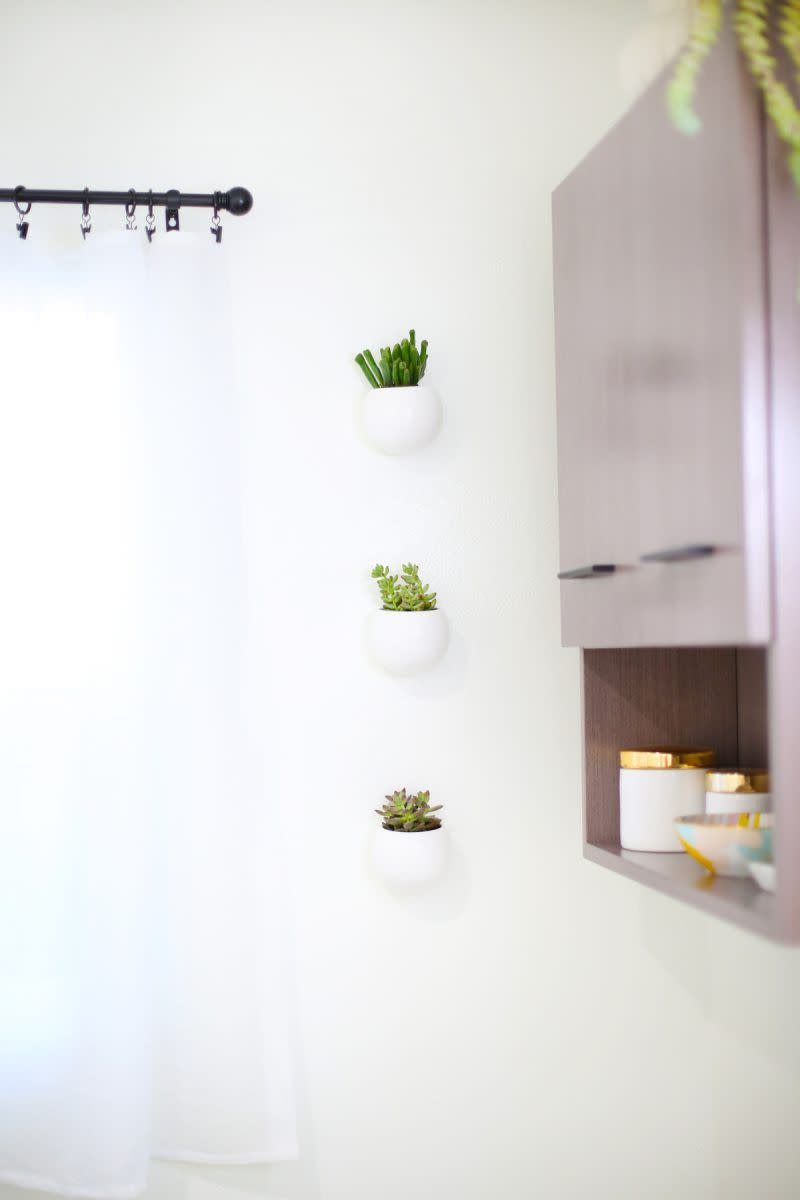 small bathroom ideas hang plants