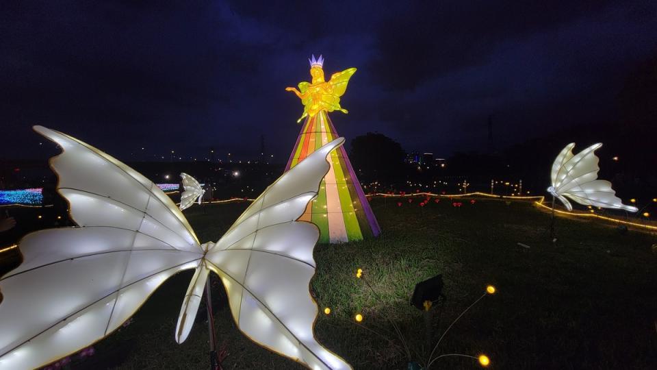 夜晚散發神秘氣息的蝴蝶女神。   圖：新北市高灘處提供