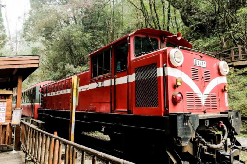 因應2022鐵道旅遊年，雄獅旅遊超前部署於10月起到明年3月底，推出每周獨包2列阿里山森林火車。（圖∕雄獅旅遊提供）  