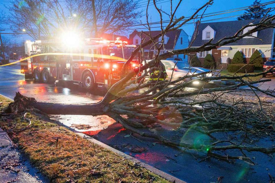 <p>Theodore Parisienne for NY Daily News via Getty Images</p> A downed tree in Queens, New York