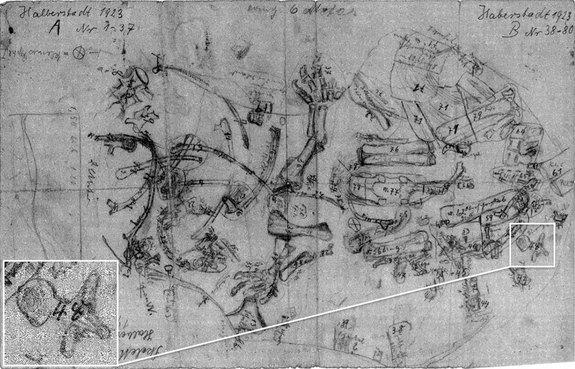 A map of dinosaur discoveries from Halberstadt, Germany, including the rediscovered vertebra.